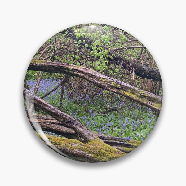 Item preview, Old Sulehay Forest, Yarwell, Northamptonshire, UK designed and sold by Kate Anderson Art.