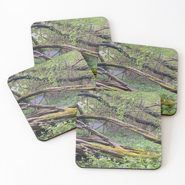 Item preview, Old Sulehay Forest, Yarwell, Northamptonshire, UK designed and sold by Kate Anderson Art.