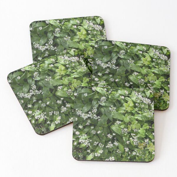 Item preview, Wild Garlic in Flower, Old Sulehay Forest, Northamptonshire designed and sold by Kate Anderson Art.
