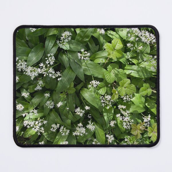 Item preview, Wild Garlic in Flower, Old Sulehay Forest, Northamptonshire designed and sold by Kate Anderson Art.