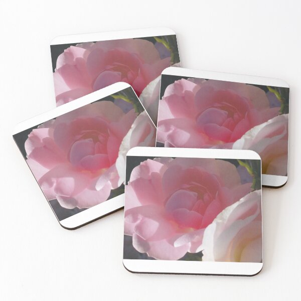 Item preview, Pink Roses in Sunlit Splendor designed and sold by vwalterson.