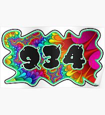 ABSTRACT, GROOVY, AND PSYCHEDELIC 934 DESIGN - VIBRANT COLORS WITH YOUR FAVORITE AREA CODE Poster