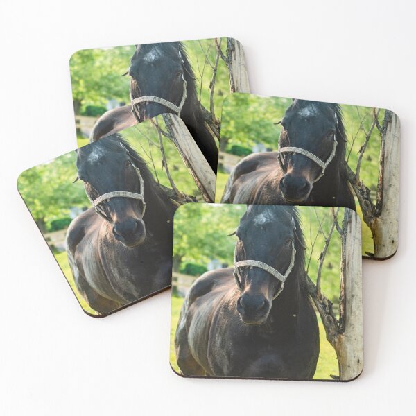 Item preview, the handsome horse designed and sold by KensLensDesigns.