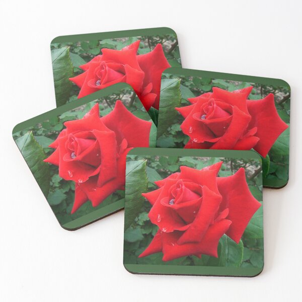 Item preview, Red rose designed and sold by KNBS.