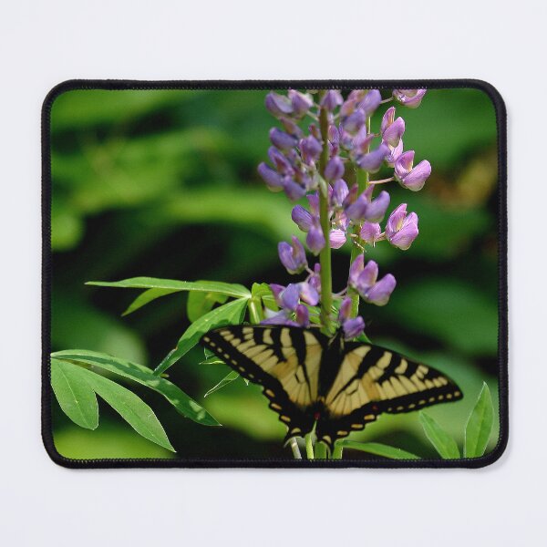 Item preview, Butterfly in my Lupine garden designed and sold by MAINE IMAGESDEZIGNS.