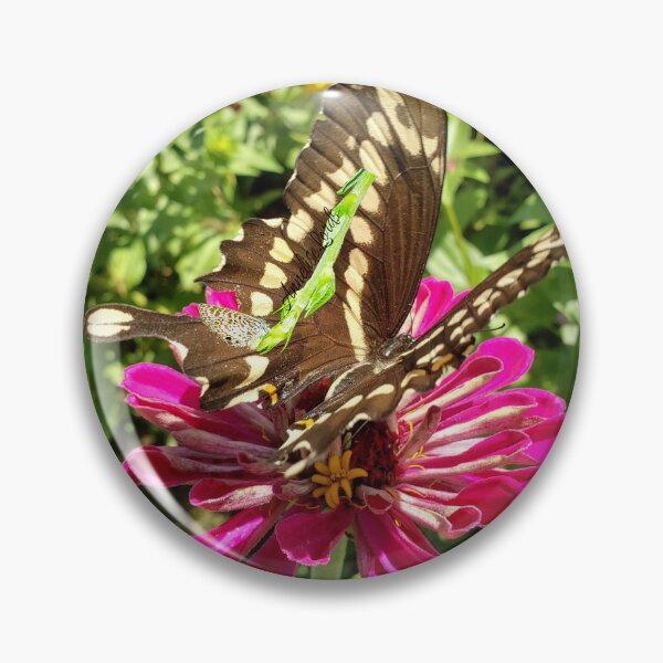 Item preview, Giant Brown Swallowtail Butterfly Feeding The Earth RZ  8/20 designed and sold by Unlimited Imagination .