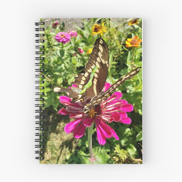 Item preview, Giant Brown Swallowtail Butterfly Feeding The Earth RZ  8/20 designed and sold by Unlimited Imagination .