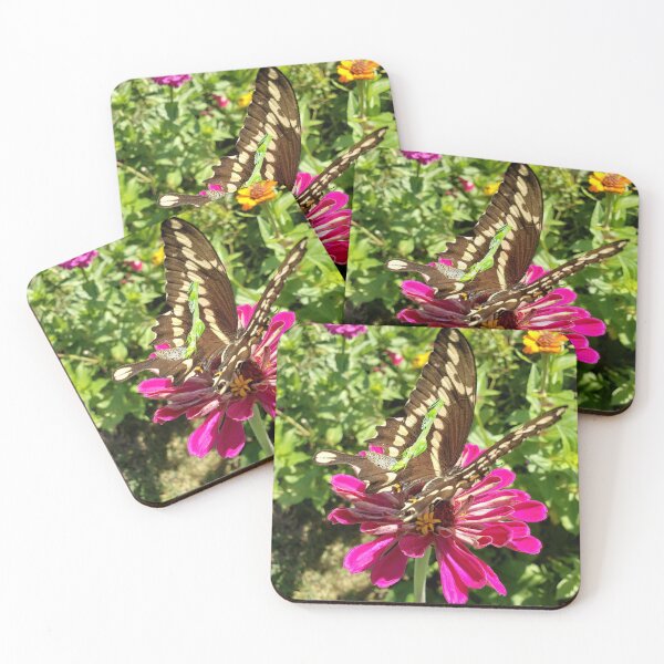 Item preview, Giant Brown Swallowtail Butterfly Feeding The Earth RZ  8/20 designed and sold by Unlimited Imagination .