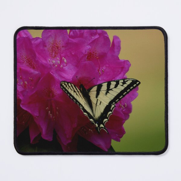 Item preview, Butterfly on a Rhododendron  designed and sold by MAINE IMAGESDEZIGNS.