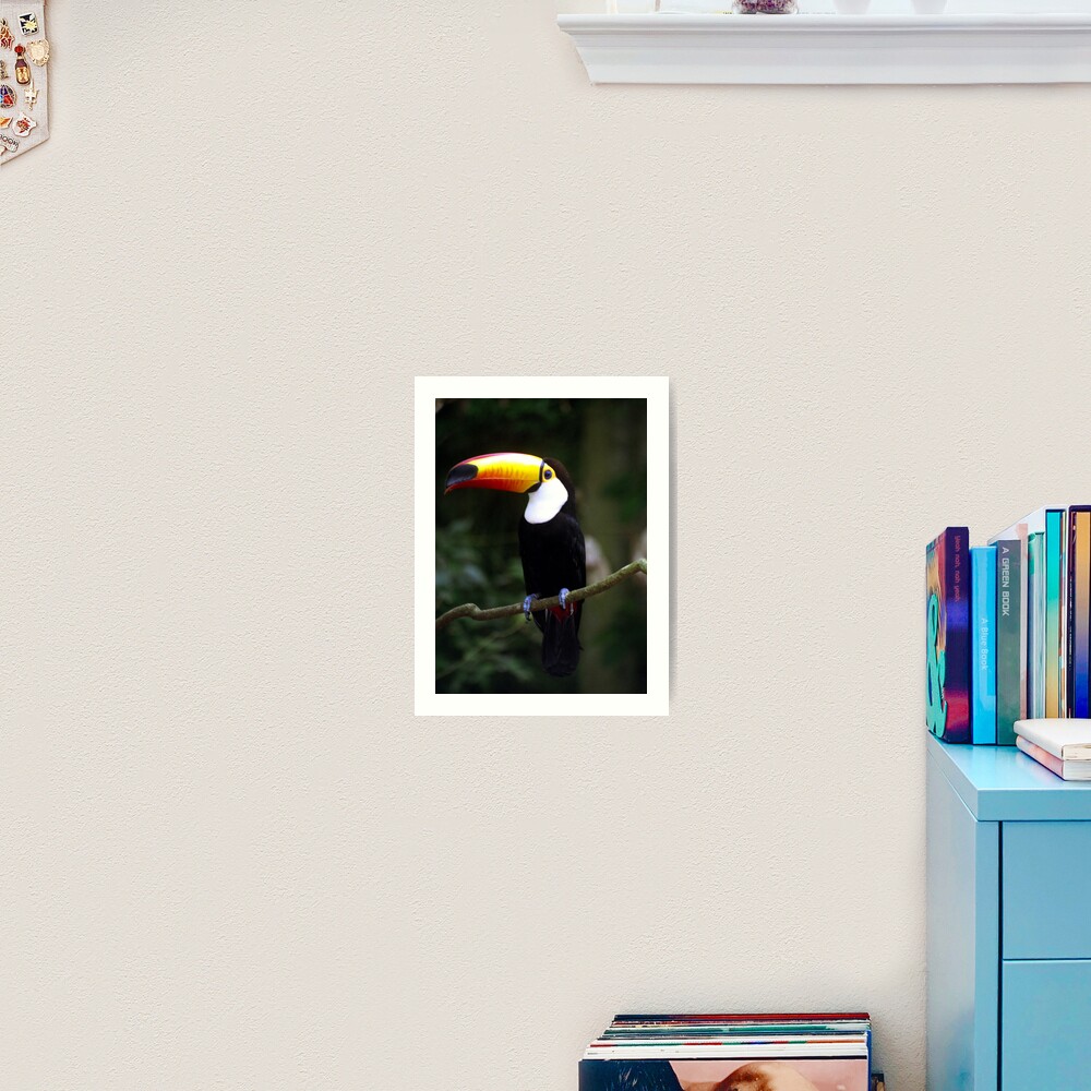 Toucan Art Print