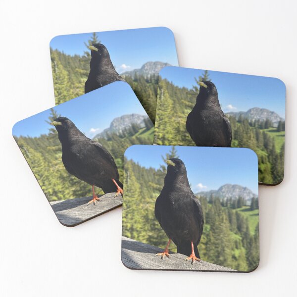 Item preview, An Alpine chough designed and sold by DanisPrintshop.
