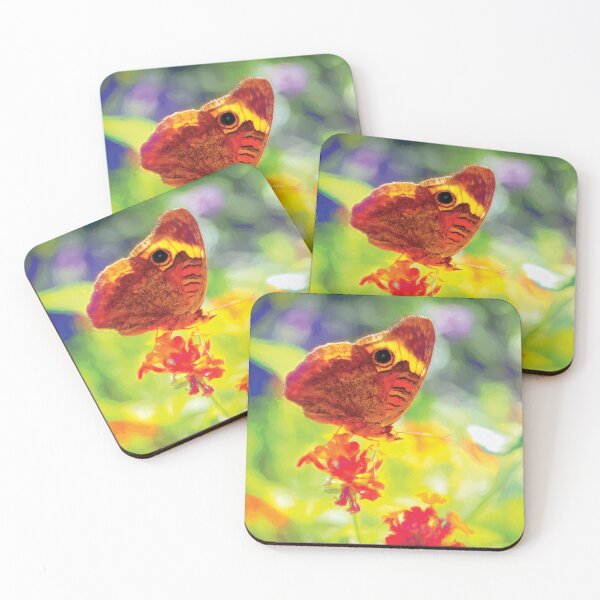 Item preview, Buckeye Readying for Takeoff designed and sold by Kay Brewer.