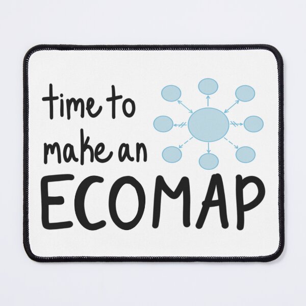 Item preview, Time to Make an Ecomap! (Social Work) designed and sold by CreationsByMR.