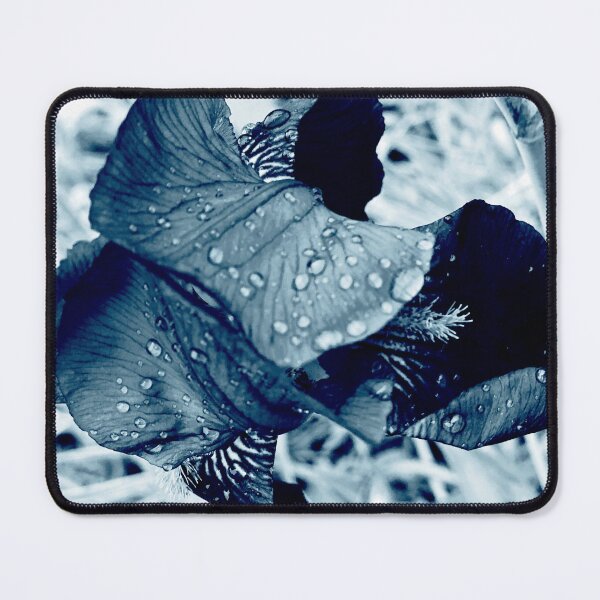 Item preview, Iris Flower Photography – Silver Blue & White Floral Wall Art on Natural Background designed and sold by Gulnaz Turdalieva.