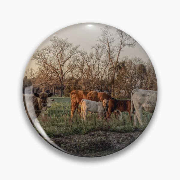 Item preview, Cows, out grazing in the early morning light..... designed and sold by Crobin1961.