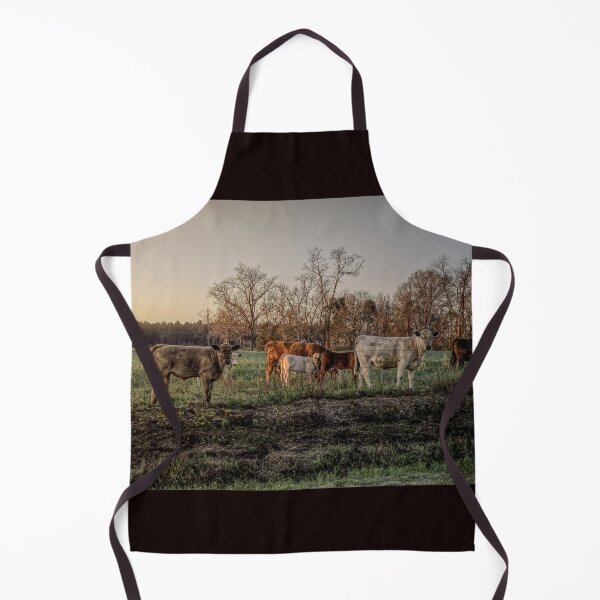 Item preview, Cows, out grazing in the early morning light..... designed and sold by Crobin1961.