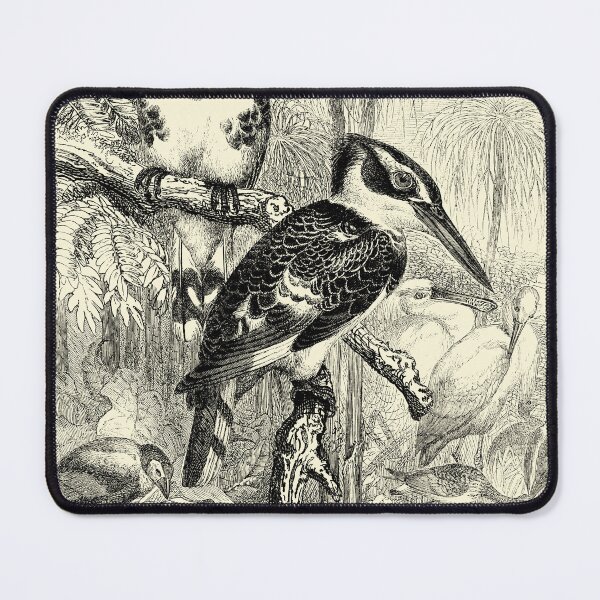 Item preview, Grey Kingfishers Vintage Illustration designed and sold by Bruiserstang.