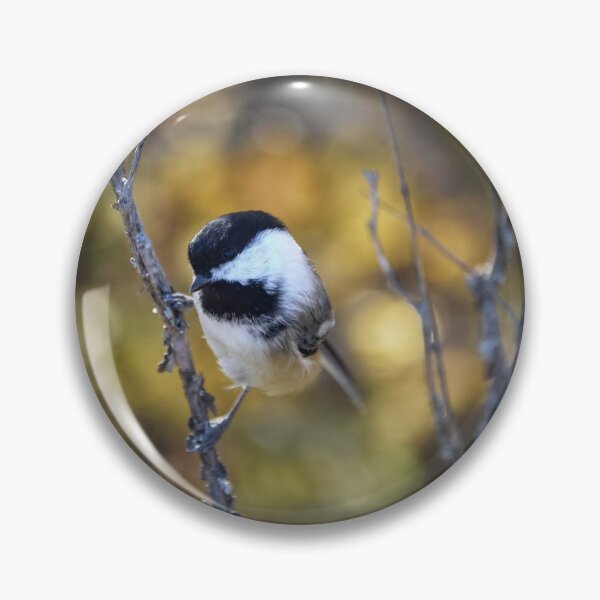 Item preview, Chickadee designed and sold by NaVisuals.