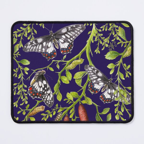Item preview, Dainty Swallowtail and Native Lime pattern on Navy Blue designed and sold by Nadya Neklioudova.