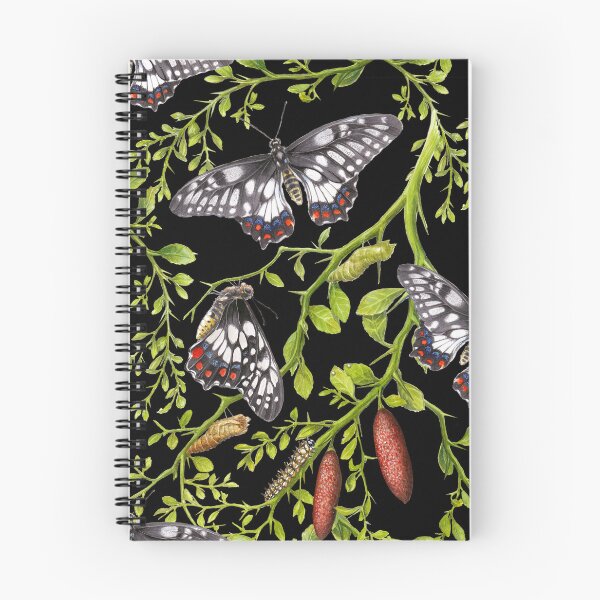 Item preview, Dainty Swallowtail and Native Lime repeat pattern on Black designed and sold by Nadya Neklioudova.