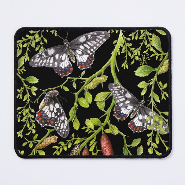 Item preview, Dainty Swallowtail and Native Lime repeat pattern on Black designed and sold by Nadya Neklioudova.