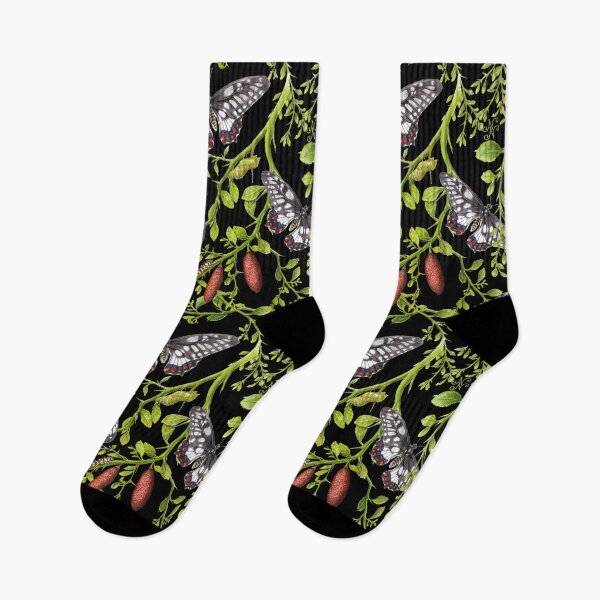 Item preview, Dainty Swallowtail and Native Lime repeat pattern on Black designed and sold by Nadya Neklioudova.