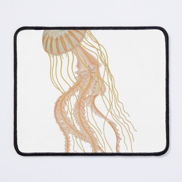 Item preview, Long-limbed Jellyfish designed and sold by Forgotten Coast Trading Co..