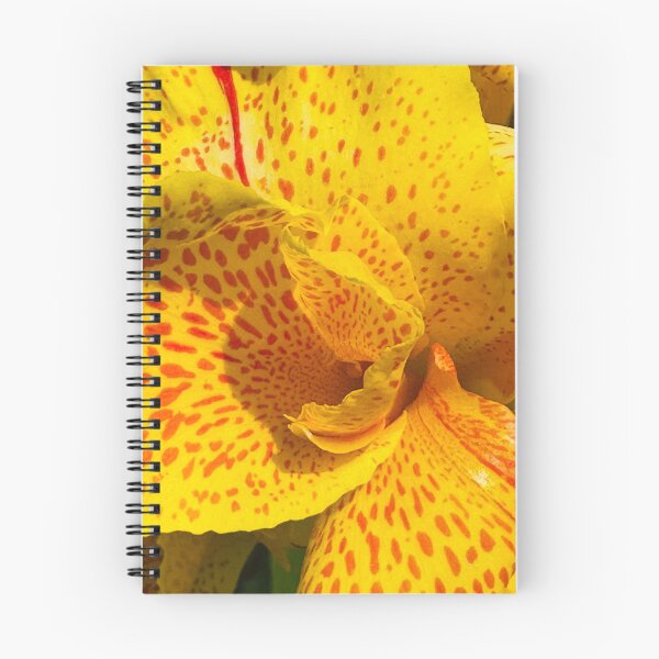 Aperçu de l'œuvre Jaune devenu sauvage !! créée et vendue par NatureSoReal.