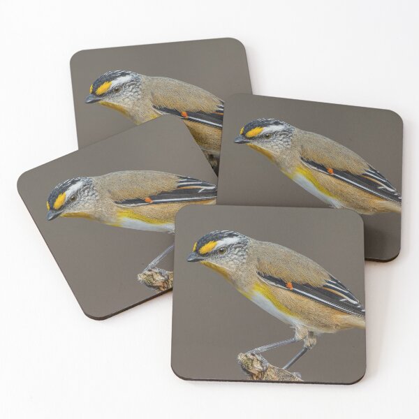 Item preview, Striated Pardalote designed and sold by Nick Vertsonis.