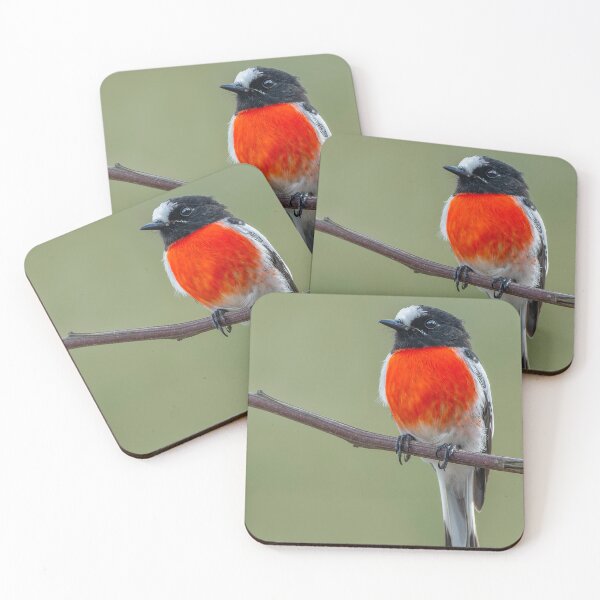 Item preview, Male Scarlet Robin designed and sold by Nick Vertsonis.