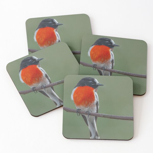 Item preview, Male Scarlet Robin designed and sold by Nick Vertsonis.