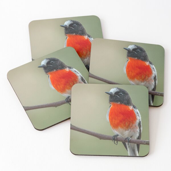 Item preview, Male Scarlet Robin designed and sold by Nick Vertsonis.