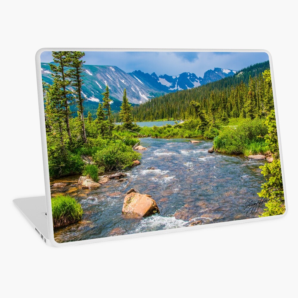 Item preview, Laptop Skin designed and sold by nikongreg.