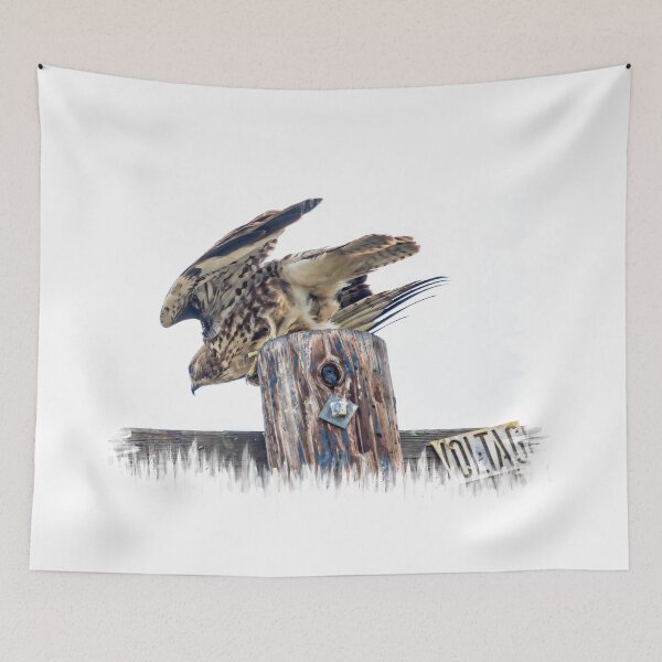 Item preview, Hawk Flying Off High Voltage Pole designed and sold by CarolM.