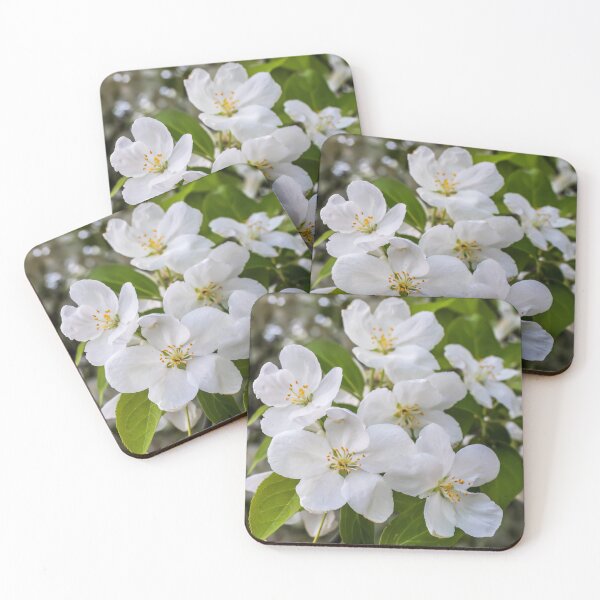 Item preview, Pretty, White Siberian Crabapple Blossoms, Malus Baccata, on a May Spring Evening designed and sold by LINDA MCKUSICK.