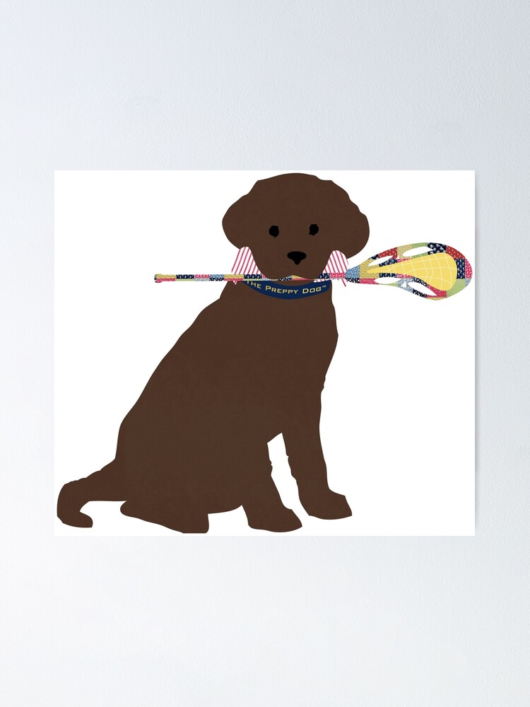 Preppy Chocolate Lab Lacrosse Dog Sticker for Sale by emrdesigns