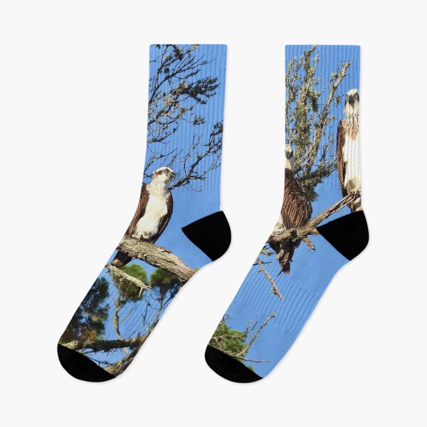 Item preview, One Osprey is not enough  designed and sold by Mark Grimsley.