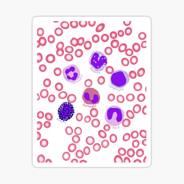 Item preview, The cells (on a smear) designed and sold by ashyssciencedesigns.