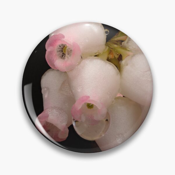 Item preview, Bearberry Blossoms – Macro of Arctostaphylos uva-ursi in Bloom designed and sold by Goiko7Margarita.