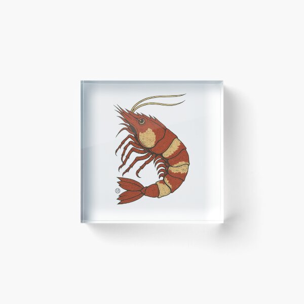 Item preview, Angry Japanese Crystal Red Shrimp  designed and sold by Kabuji Store.