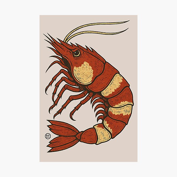 Item preview, Angry Japanese Crystal Red Shrimp  designed and sold by Kabuji Store.