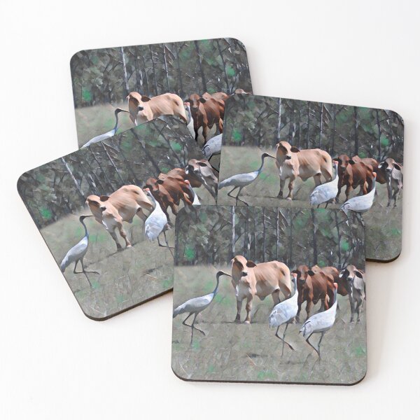 Item preview, AUSTRALIAN BROLGA, BIRDLIFE,  designed and sold by Barbara Jean Photo Art And Design.