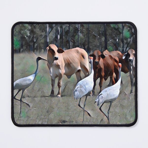 Item preview, AUSTRALIAN BROLGA, BIRDLIFE,  designed and sold by Barbara Jean Photo Art And Design.