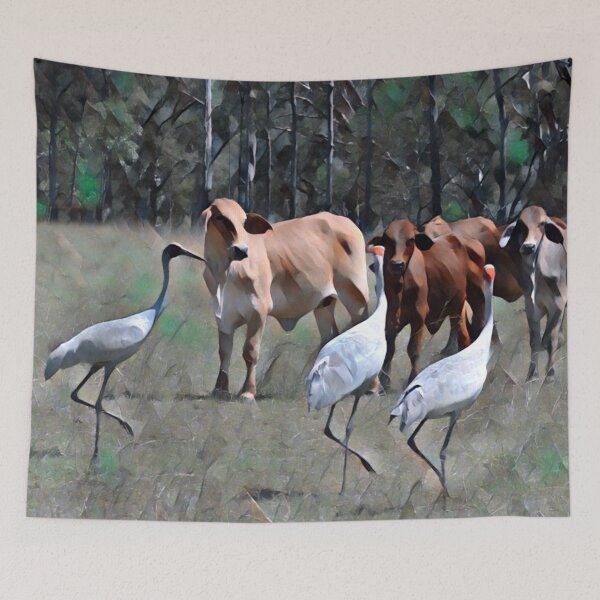 Item preview, AUSTRALIAN BROLGA, BIRDLIFE,  designed and sold by Barbara Jean Photo Art And Design.