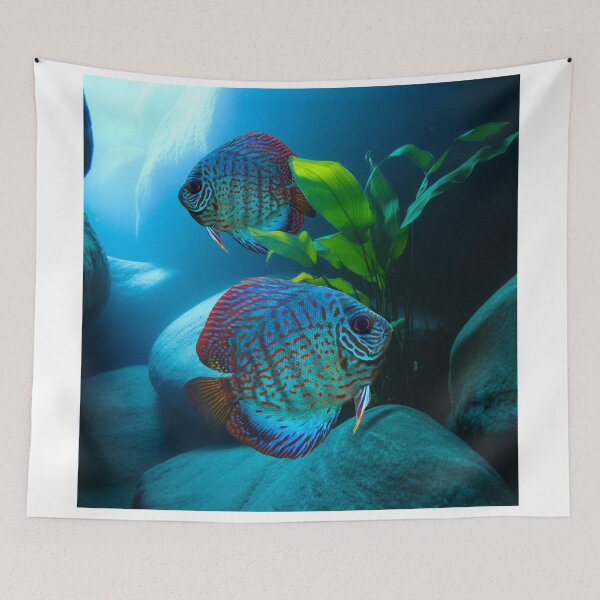 Artikelvorschau, Diskusfische, Exotische Aquarienfische, Züchterkunst entworfen und verkauft von Aquarium Eclipse.