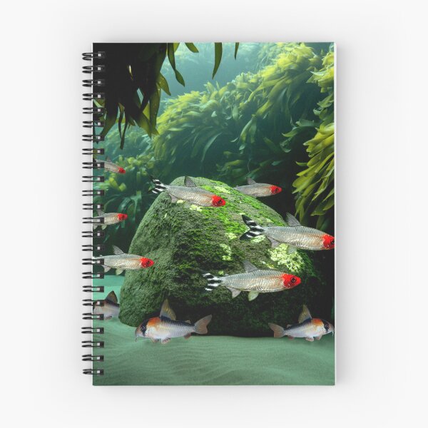 Item preview, Rummynose Tetras Corydoras Aquarium Fish Tank Breeders Art designed and sold by Aquarium Eclipse.