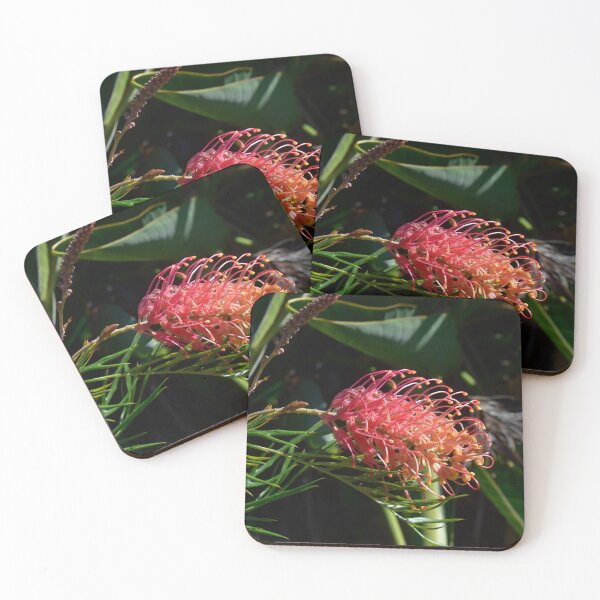 Item preview, GREVILLEA FLOWER, PROTEACEAE, BIOPHILIC DESIGNS designed and sold by Barbara Jean Photo Art And Design.