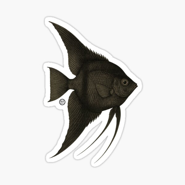 Item preview, Black Angelfish - Vintage Japanese Style - Angel Fish designed and sold by Kabuji Store.