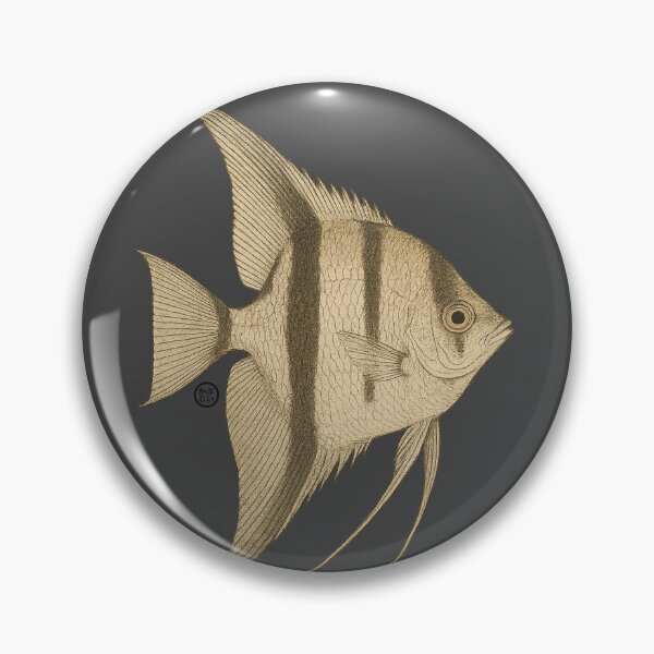 Item preview, Angelfish - Vintage Japanese Style - Common Angel Fish designed and sold by Kabuji Store.