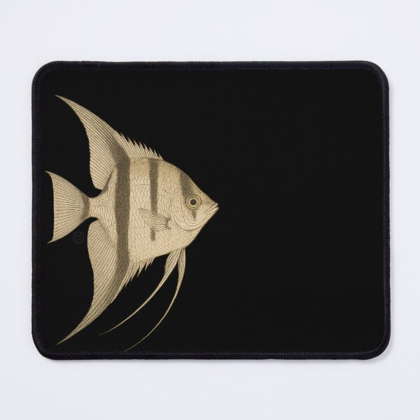 Item preview, Angelfish - Vintage Japanese Style - Common Angel Fish designed and sold by Kabuji Store.